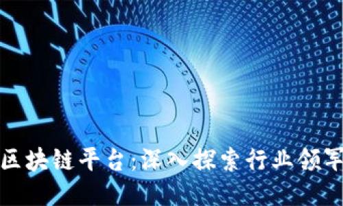瑞典最大的区块链平台：深入探索行业领军者及其影响