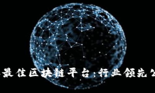 2023年最佳区块链平台：行业领先公司分析