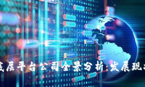 中国区块链底层平台公司全景分析：发展现状与未来趋势