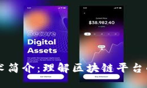 区块链技术简介：理解区块链平台的全面指南