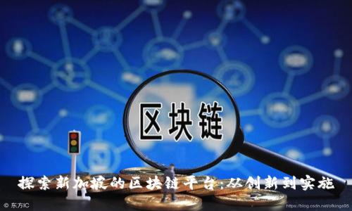 探索新加坡的区块链平台：从创新到实施