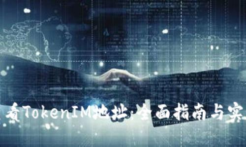 如何查看TokenIM地址：全面指南与实用技巧