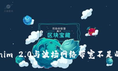 深入探讨Tokenim 2.0与波场网络带宽不足的问题解决方案
