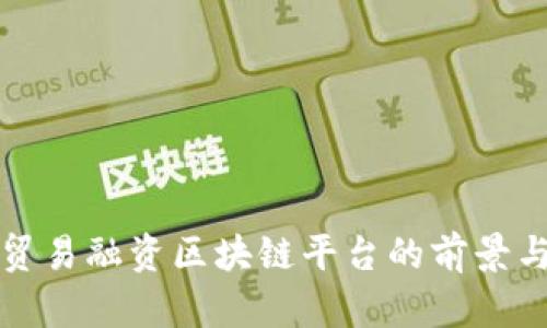 湾区贸易融资区块链平台的前景与挑战