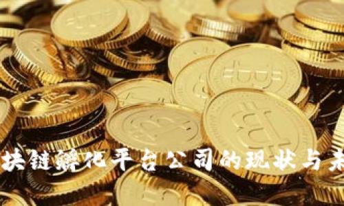 国内区块链孵化平台公司的现状与未来展望