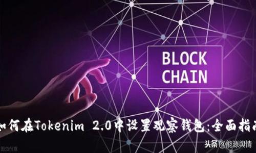 如何在Tokenim 2.0中设置观察钱包：全面指南
