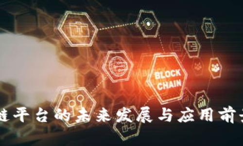区块链平台的未来发展与应用前景分析