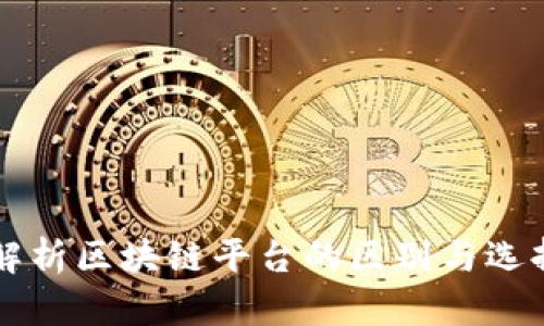 深入解析区块链平台的区别与选择指南