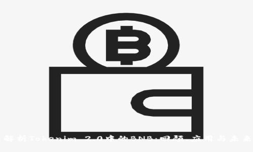 深入解析Tokenim 2.0中的BNB：回顾、应用与未来展望