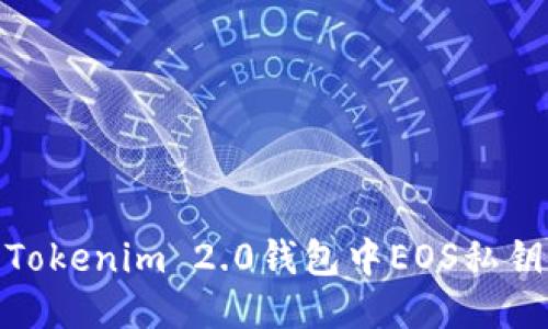 : 如何处理Tokenim 2.0钱包中EOS私钥遗忘的问题