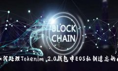 : 如何处理Tokenim 2.0钱包中EOS私钥遗忘的问题