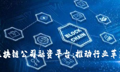 全面解析区块链公司融资平台：推动行业革新的新选择