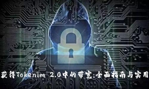 如何获得Tokenim 2.0中的带宽：全面指南与实用策略