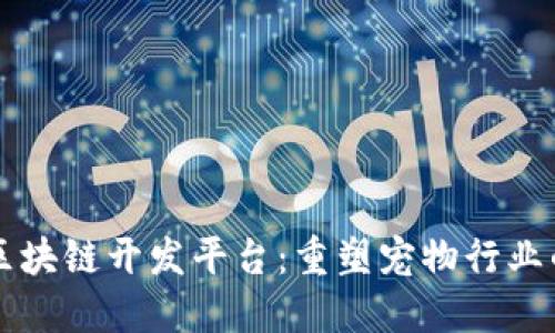 宠物区块链开发平台：重塑宠物行业的未来